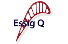 essig-Q-new